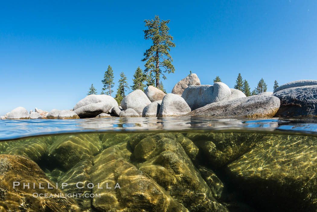 Split view of Trees and Underwater Boulders, Lake Tahoe, Nevada. USA, natural history stock photograph, photo id 32336