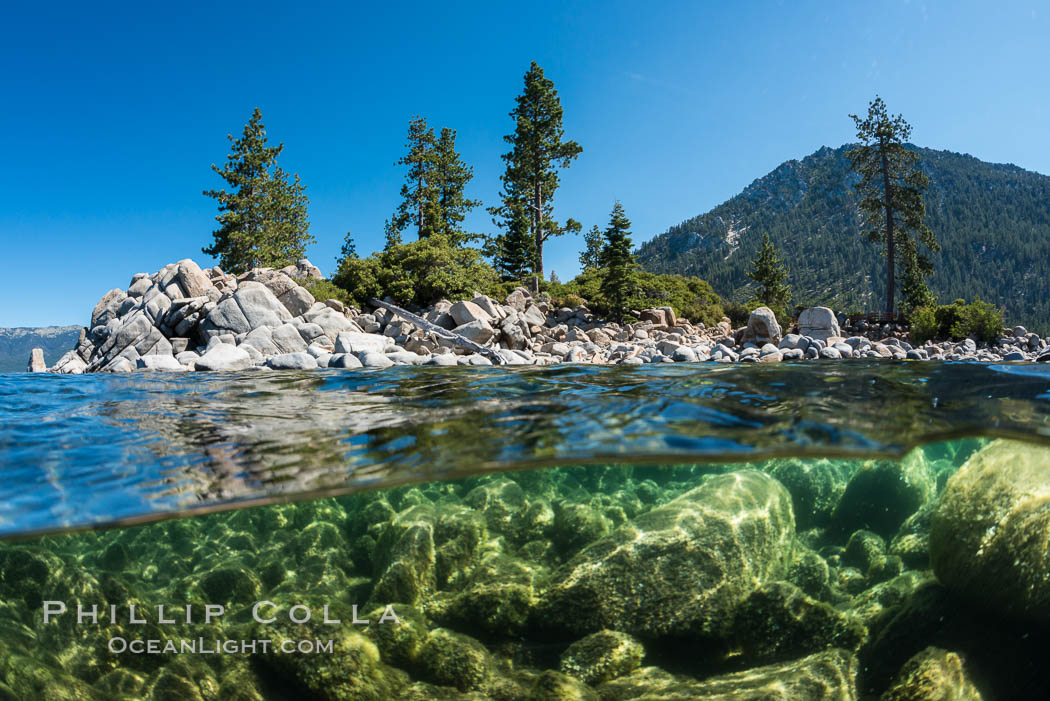 Split view of Trees and Underwater Boulders, Lake Tahoe, Nevada. USA, natural history stock photograph, photo id 32352