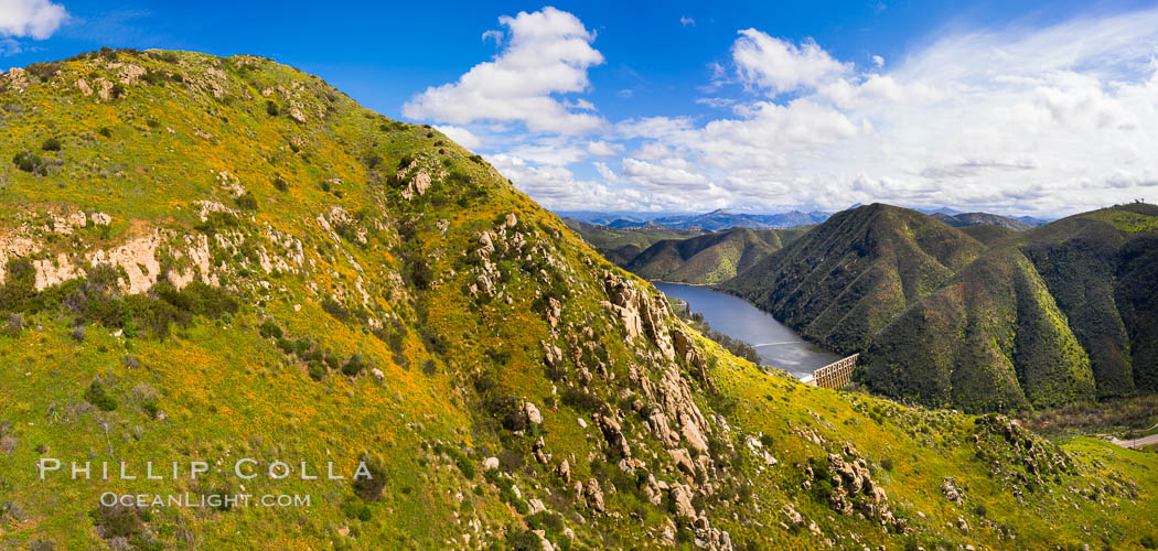 Spring Flowers and Grasses above Lake Hodges, aerial panoramic photo, Del Dios and Lake Hodges, San Diego. California, USA, natural history stock photograph, photo id 38164