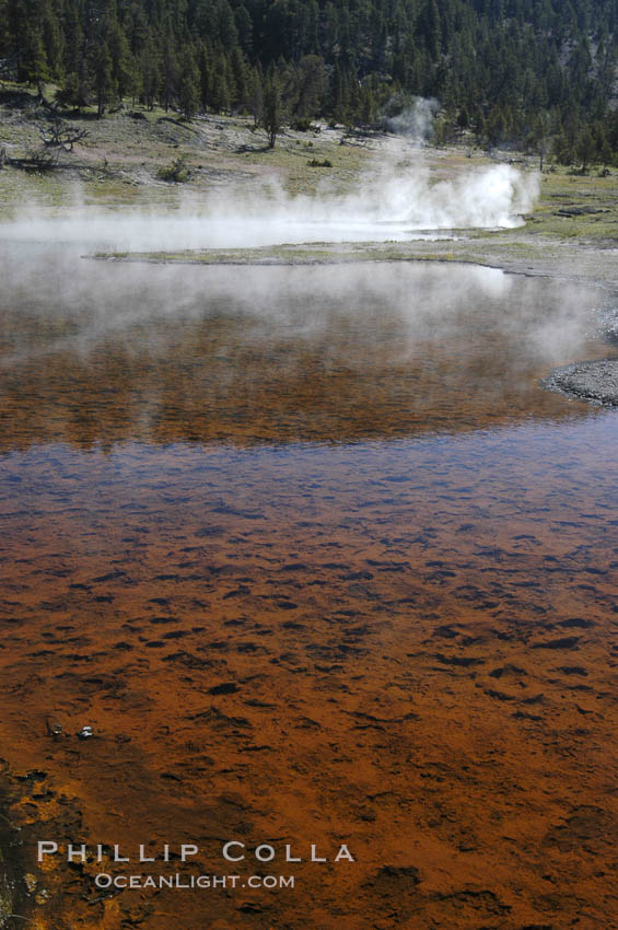 Steam rises from Firehole Lake.  The lakes red bottom is due to thermophilac cyanobacteria and algae. Lower Geyser Basin. Yellowstone National Park, Wyoming, USA, natural history stock photograph, photo id 07250
