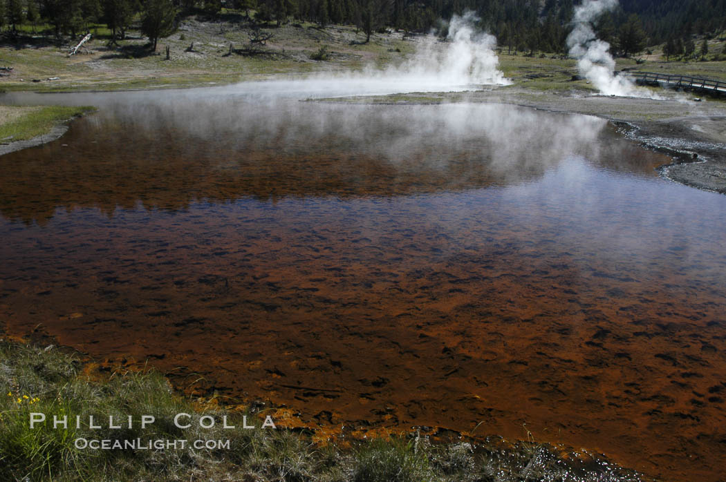 Steam rises from Firehole Lake.  The lakes red bottom is due to thermophilac cyanobacteria and algae. Lower Geyser Basin. Yellowstone National Park, Wyoming, USA, natural history stock photograph, photo id 07249