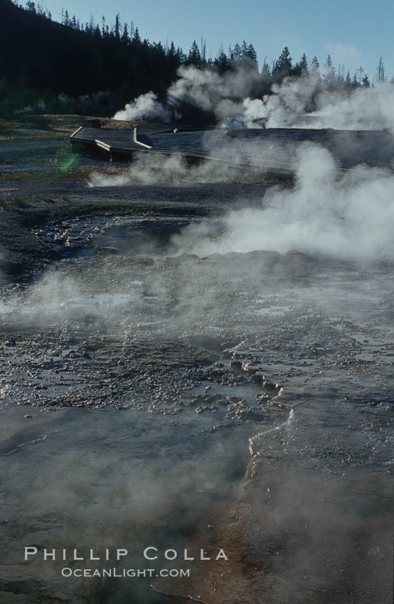 Steam rises from the many geysers, springs and pools on Geyser Hill near Old Faithful, just after sunrise. Yellowstone National Park, Wyoming, USA, natural history stock photograph, photo id 07254