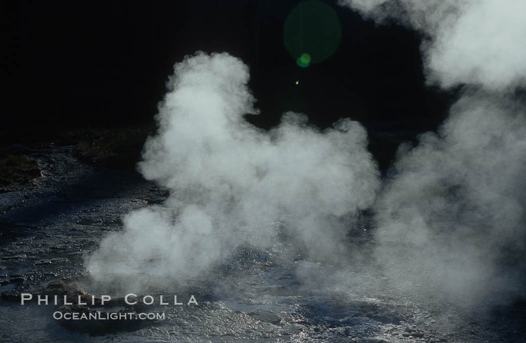 Steam rises a geyser on Geyser Hill. Upper Geyser Basin, Yellowstone National Park, Wyoming, USA, natural history stock photograph, photo id 07256