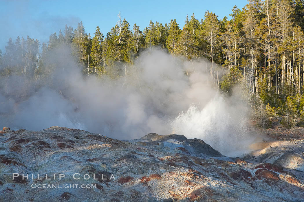 Steamboat Geyser splashes (this is not an eruption!).  Steamboat Geyser is the worlds tallest active geyser, reaching heights of 300 feet, but it rarely erupts and then only unpredictably. Norris Geyser Basin, Yellowstone National Park, Wyoming, USA, natural history stock photograph, photo id 13476