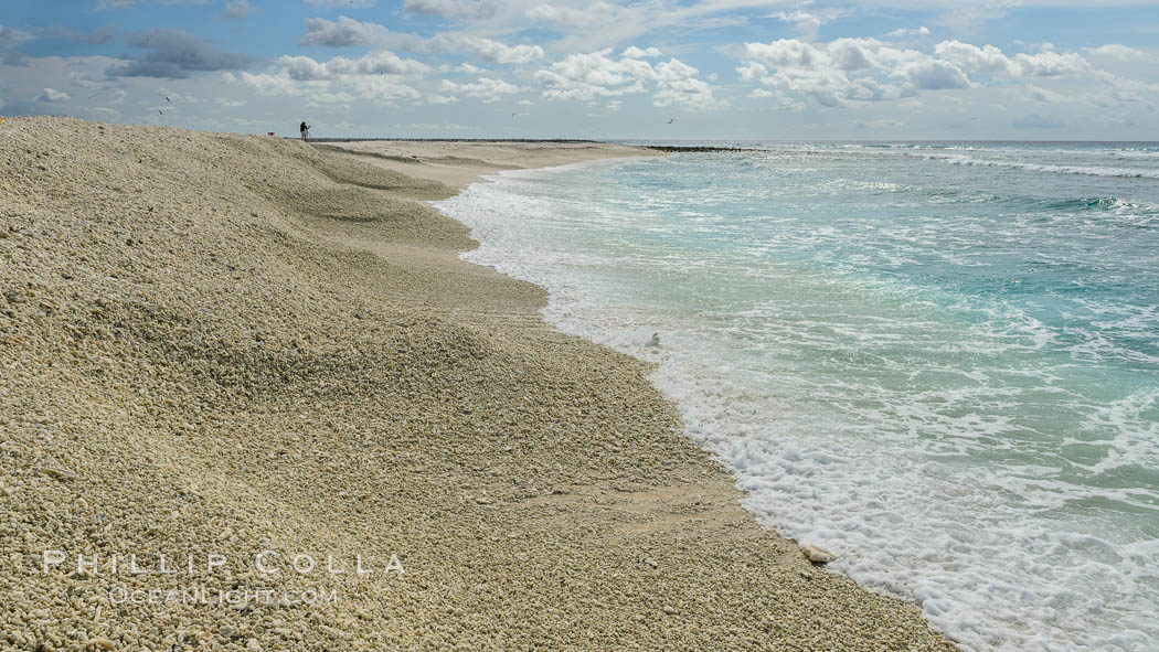 Steep Coral Rubble Shoreline, Clipperton Island. France, natural history stock photograph, photo id 33071