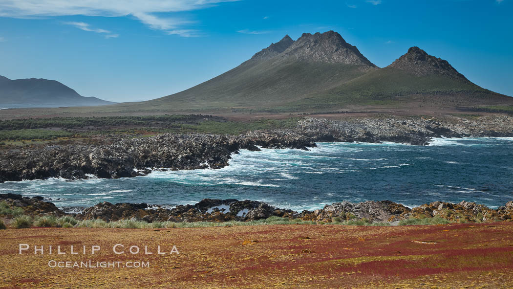 Steeple Jason Island, southwestern exposure, looking south pass the isthmus toward the southern half of the island.  Steeple Jason is one of the remote Jason Group of Islands in the West Falklands.  Uninhabited, the island is spectacular both for its rugged scenery and its enormous breeding colony of black-browed albatross.  Steeple Jason Island is now owned and administered by the Wildlife Conservation Society. Falkland Islands, United Kingdom, natural history stock photograph, photo id 24085