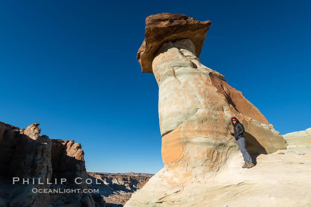 Pedestal rock, or hoodoo, at Stud Horse Point. These hoodoos form when erosion occurs around but not underneath a more resistant caprock that sits atop of the hoodoo spire. Stud Horse Point is a spectacular viewpoint on a mesa overlooking the Arizona / Utah border. Page, USA, natural history stock photograph, photo id 37777