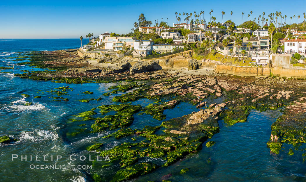 Sun Gold Point Reef Exposed at Extreme Low Tide, La Jolla, California. USA, natural history stock photograph, photo id 37984