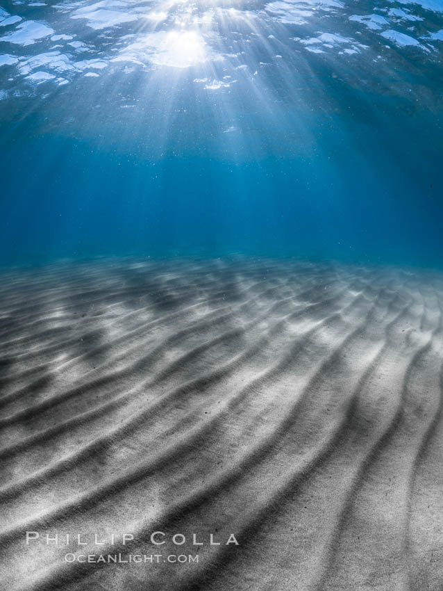 Sunlight and sand ripples, Sand Harbor, Lake Tahoe. Sand Harbor State Park, Nevada, USA, natural history stock photograph, photo id 36410