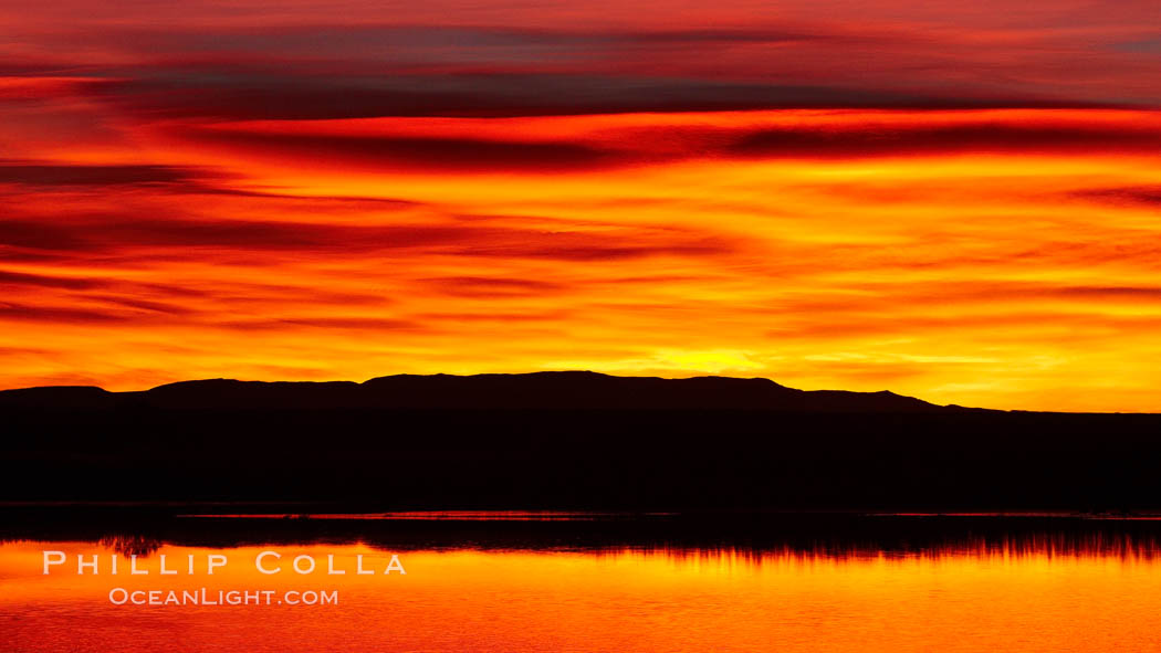 Sunrise at Bosque del Apache National Wildlife Refuge. Socorro, New Mexico, USA, natural history stock photograph, photo id 21849