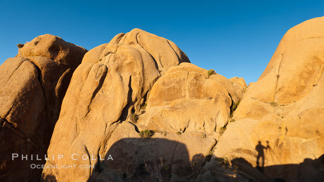 Sunrise on stone boulders, Joshua Tree National Park, desert southwest, photographer's shadow. California, USA, natural history stock photograph, photo id 26777