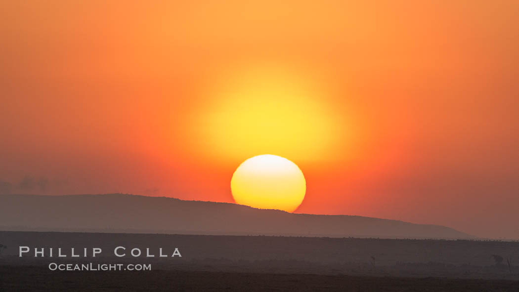 Sunrise and sun pillar, greater Maasai Mara, Kenya. Maasai Mara National Reserve, natural history stock photograph, photo id 29913