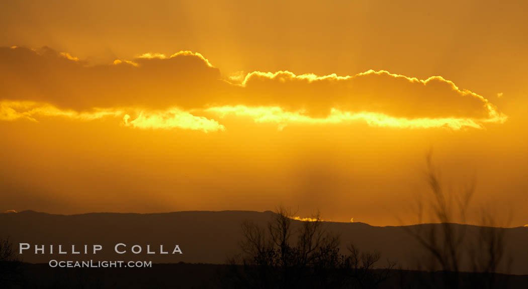 Sunrise, Bosque del Apache National Wildlife Refuge. Socorro, New Mexico, USA, natural history stock photograph, photo id 21926