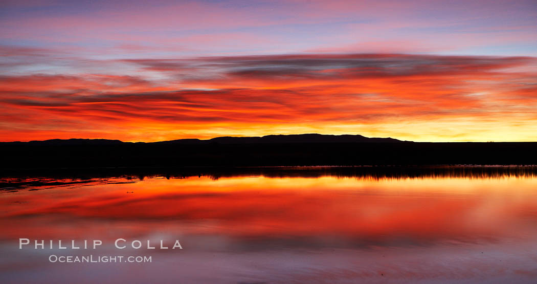Sunrise over Bosque del Apache.  Rich predawn colors are reflected in the main impoundment pond in the refuge. Bosque del Apache National Wildlife Refuge, Socorro, New Mexico, USA, natural history stock photograph, photo id 21819