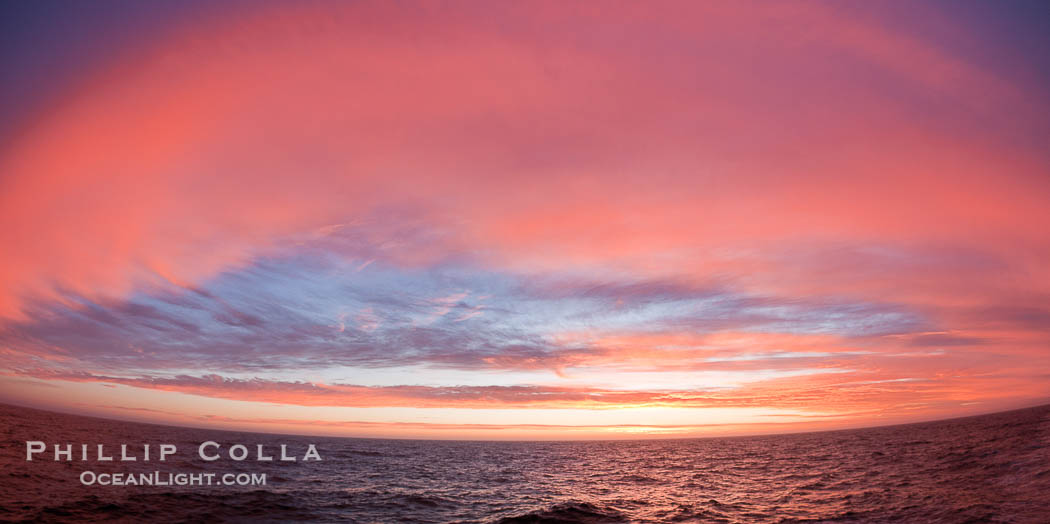 Sunset clouds create a colorful arch, spanning the heavens from horizon to horizon, over the open sea between the Falkland Islands and South Georgia Island., natural history stock photograph, photo id 24182