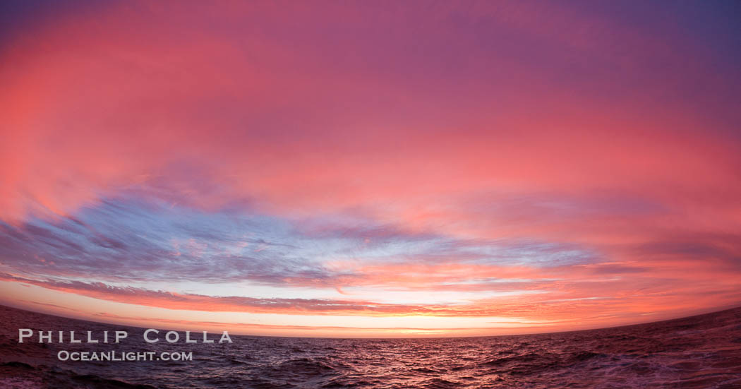 Sunset clouds create a colorful arch, spanning the heavens from horizon to horizon, over the open sea between the Falkland Islands and South Georgia Island., natural history stock photograph, photo id 24181