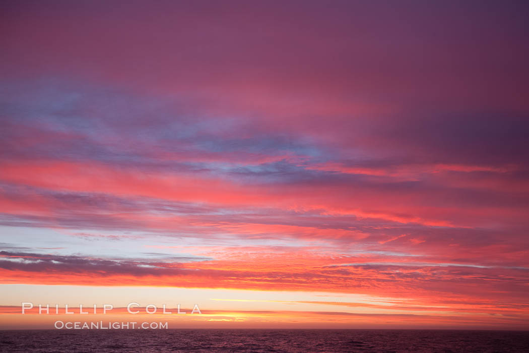 Sunset clouds, detail and colors, at sea on the open ocean between the Falkland Islands and South Georgia Island. Southern Ocean, natural history stock photograph, photo id 24175