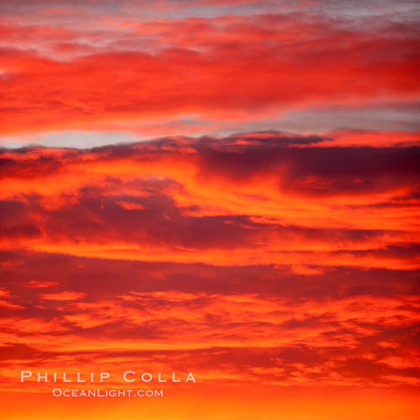 Sunset clouds, detail and colors, at sea on the open ocean between the Falkland Islands and South Georgia Island. Southern Ocean, natural history stock photograph, photo id 24093