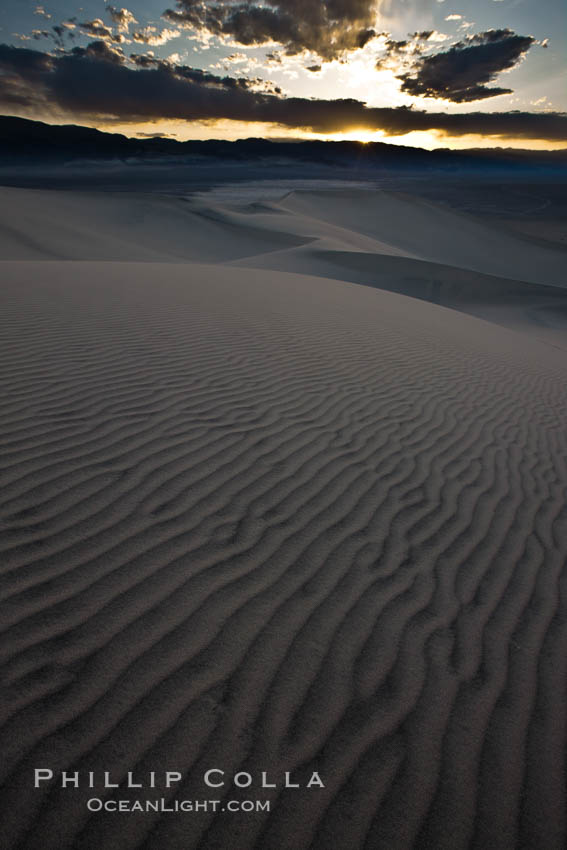 Sunset on the Eureka Dunes.  The Eureka Valley Sand Dunes are California's tallest sand dunes, and one of the tallest in the United States.  Rising 680' above the floor of the Eureka Valley, the Eureka sand dunes are home to several endangered species, as well as "singing sand" that makes strange sounds when it shifts.  Located in the remote northern portion of Death Valley National Park, the Eureka Dunes see very few visitors. USA, natural history stock photograph, photo id 25353