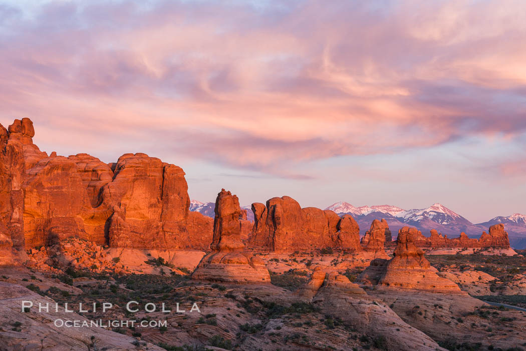 Sunset over Garden of the Gods, Arches National Park. Utah, USA, natural history stock photograph, photo id 29263