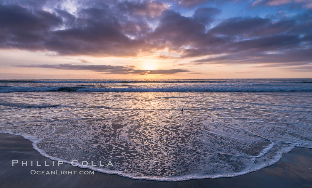 Sunset over Torrey Pines State Beach. Torrey Pines State Reserve, San Diego, California, USA, natural history stock photograph, photo id 29104