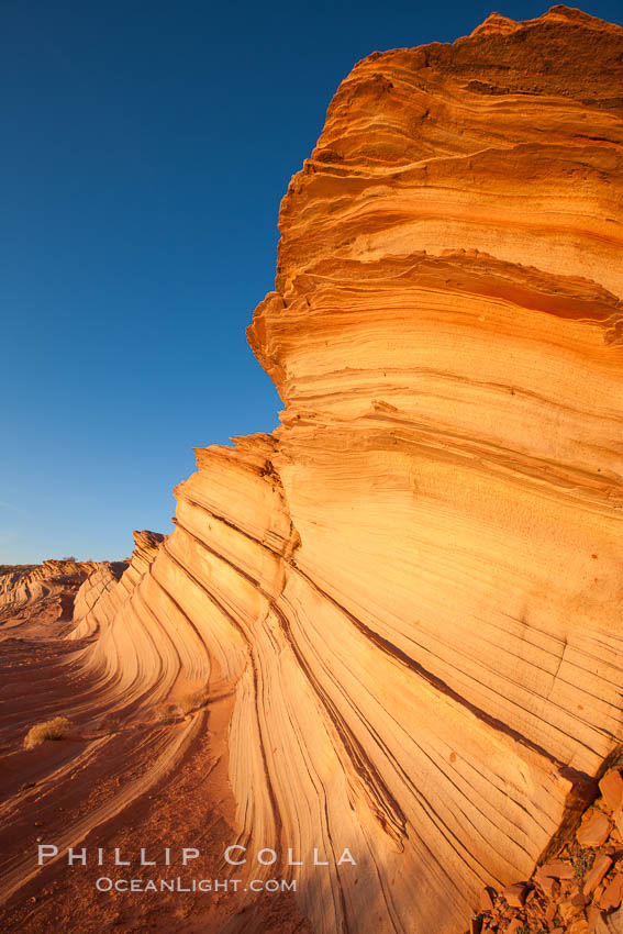 The Great Wall, Navajo Tribal Lands, Arizona. Sandstone "fins", eroded striations that depict how sandstone -- ancient compressed sand -- was laid down in layers over time.  Now exposed, the layer erode at different rates, forming delicate "fins" that stretch for long distances. Page, USA, natural history stock photograph, photo id 26644