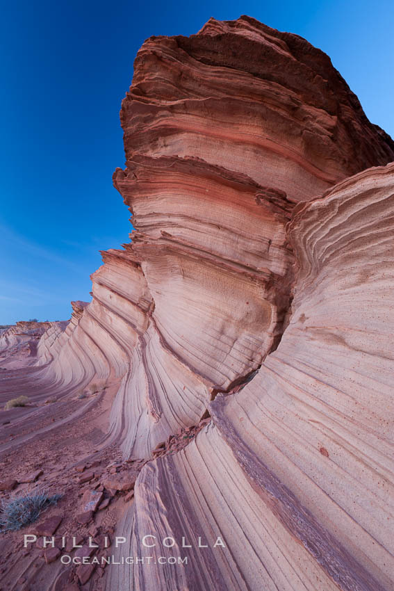 The Great Wall, Navajo Tribal Lands, Arizona. Sandstone "fins", eroded striations that depict how sandstone -- ancient compressed sand -- was laid down in layers over time.  Now exposed, the layer erode at different rates, forming delicate "fins" that stretch for long distances. Page, USA, natural history stock photograph, photo id 26675