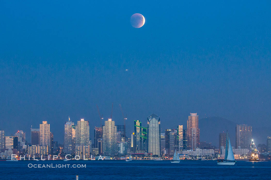 Supermoon Eclipse at Moonrise over San Diego, September 27 2015., natural history stock photograph, photo id 31873
