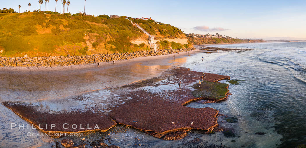 Swamis Beach Reefs Exposed by King Tides, people explore ocean reefs normally underwater but exposed on the extreme low tides known as King Tides. Aerial photo. Encinitas, California, USA, natural history stock photograph, photo id 38014