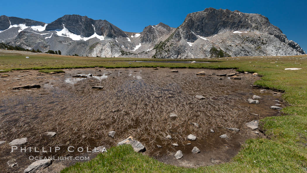 Tadpole tarns, a group of four small ponds on the rise above Evelyn and Townsley Lakes, that are full of tadpoles in late summer.  Fletcher Peak rises to the right, the Cathedral Range to the left., natural history stock photograph, photo id 25778