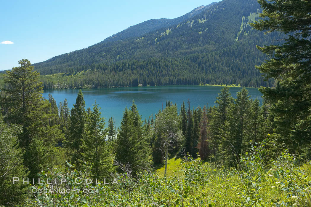 Taggart Lake. Grand Teton National Park, Wyoming, USA, natural history stock photograph, photo id 13016