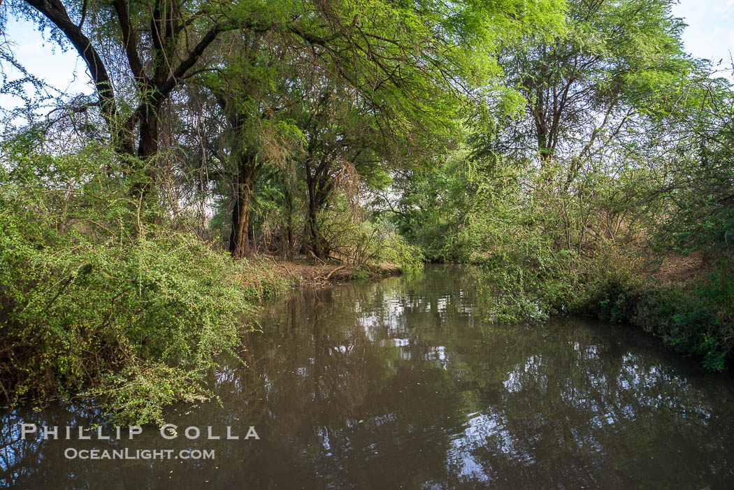 Tana River, Meru National Park, Kenya., natural history stock photograph, photo id 29687