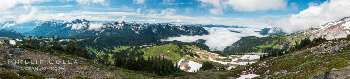 The Tatoosh Range viewed from the Skyline Trail, above Paradise Meadows on southern flank of Mount Rainier. Mount Rainier National Park, Washington, USA, natural history stock photograph, photo id 28714