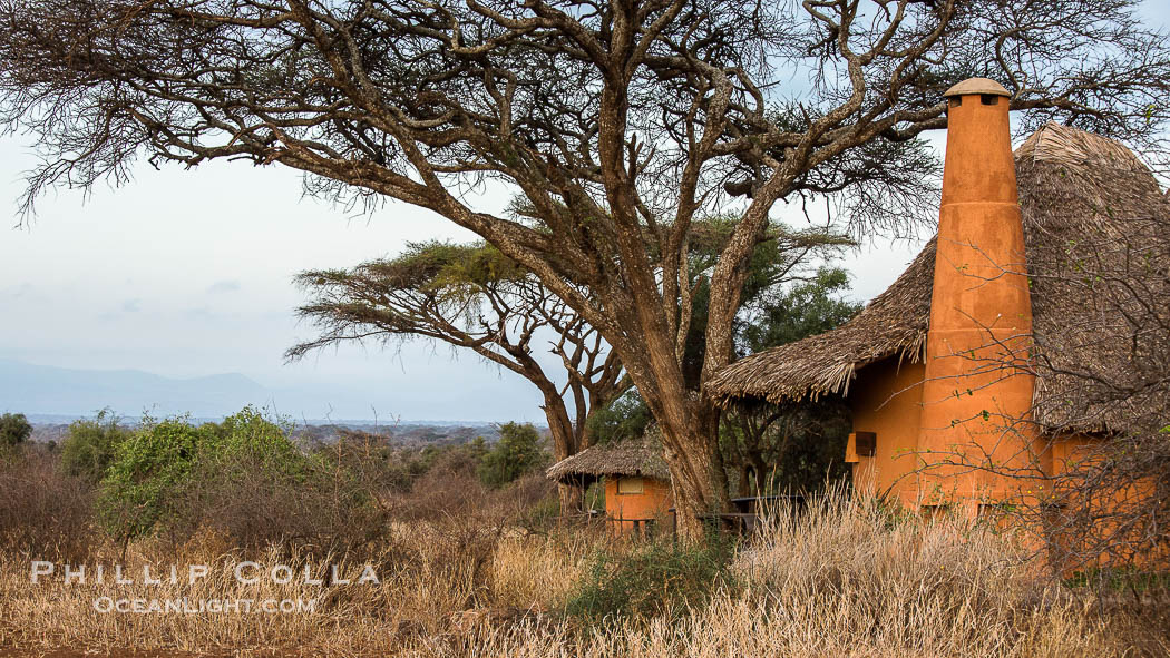 Tawi Lodge, luxury safari lodge, Kenya., natural history stock photograph, photo id 29561