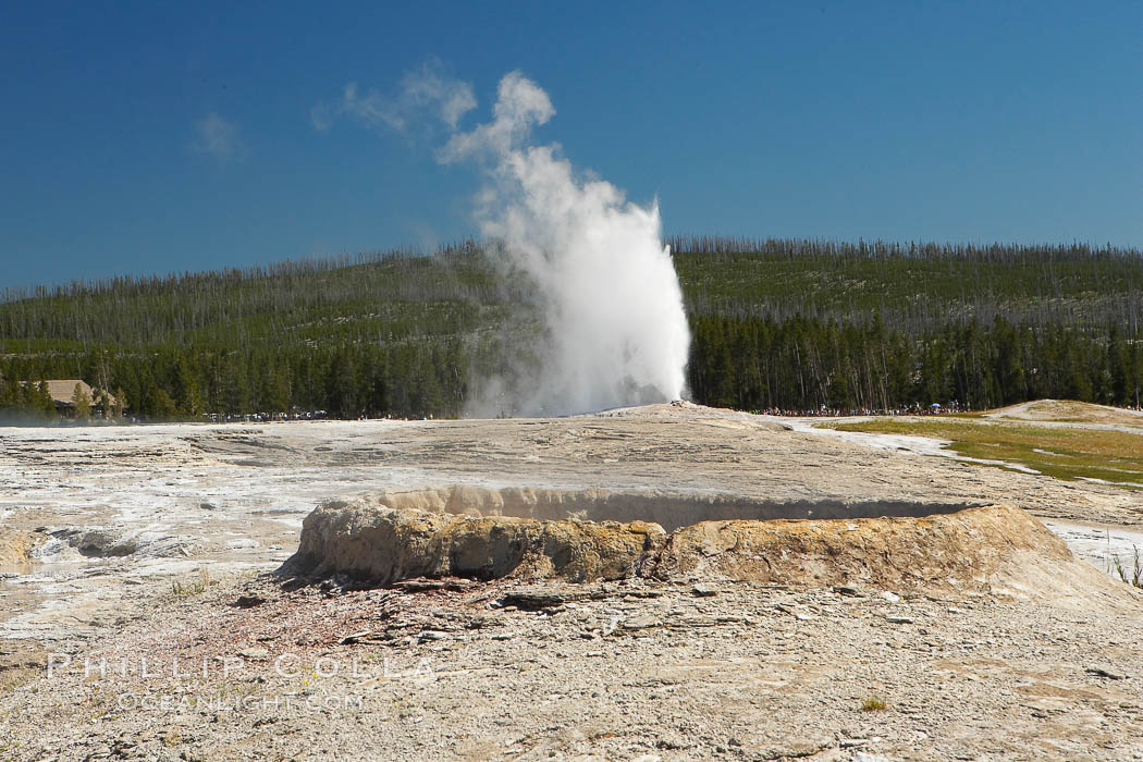The rim of Teakettle Spring appears in the foreground while Old Faithful erupts in the distance. Yellowstone National Park, Wyoming, USA, natural history stock photograph, photo id 13416