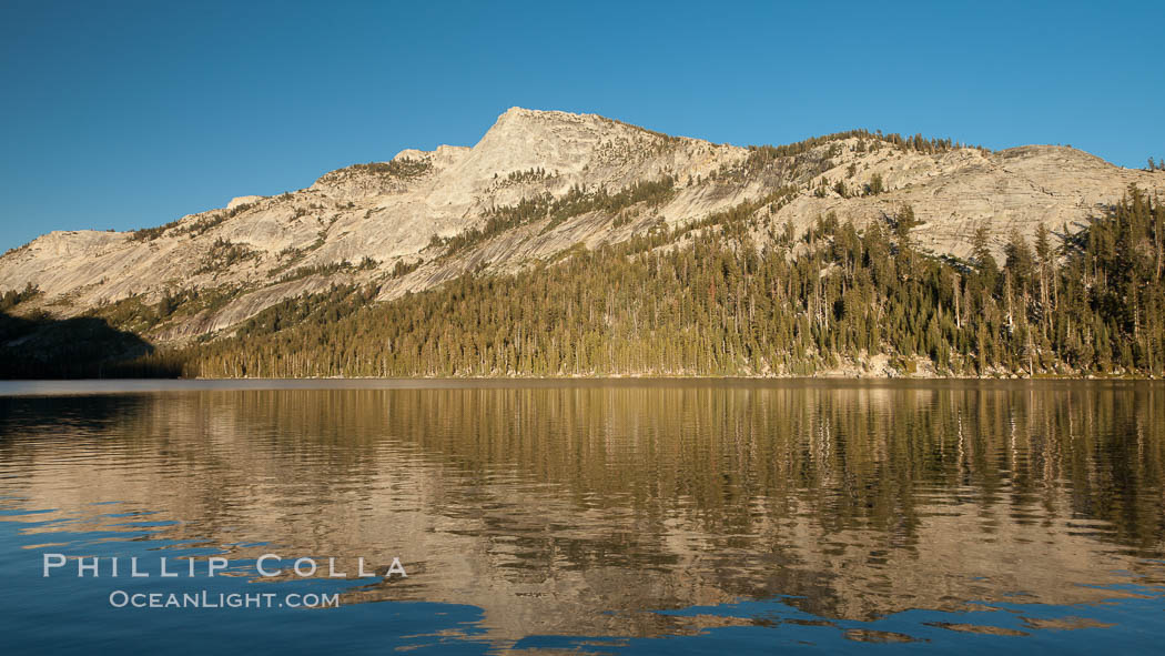 Tenaya Lake at sunset, panoramic view looking north, with Tenaya Peak (10,280') on the right and Medlicott Dome (9,880') on the left.  Tenaya Lake lies at 8,150' in the heart of Yosemite's high country. Yosemite National Park, California, USA, natural history stock photograph, photo id 25783