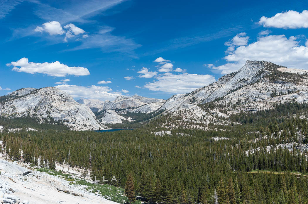 Tenaya Peak (right) rises above Tenaya Lake (left center) with granite domes rising above the northern banks of the lake, viewed from Olmsted Point. Yosemite National Park, California, USA, natural history stock photograph, photo id 09956