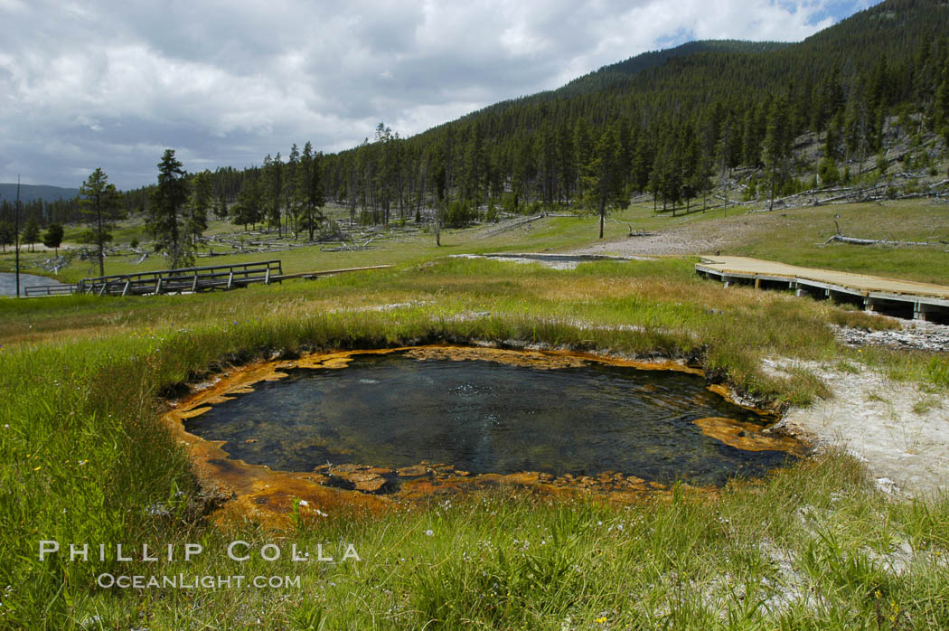 Terrace Spring near Madison Junction. Yellowstone National Park, Wyoming, USA, natural history stock photograph, photo id 07313