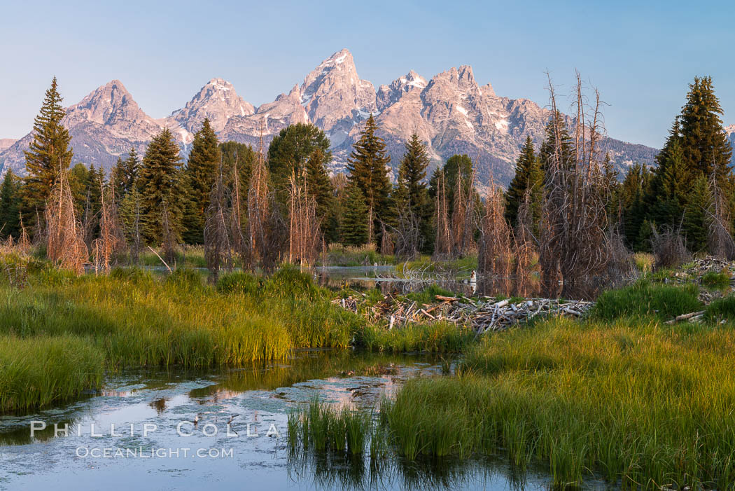 Teton Range from Schwabacher Landing, Grand Teton National Park., natural history stock photograph, photo id 32308