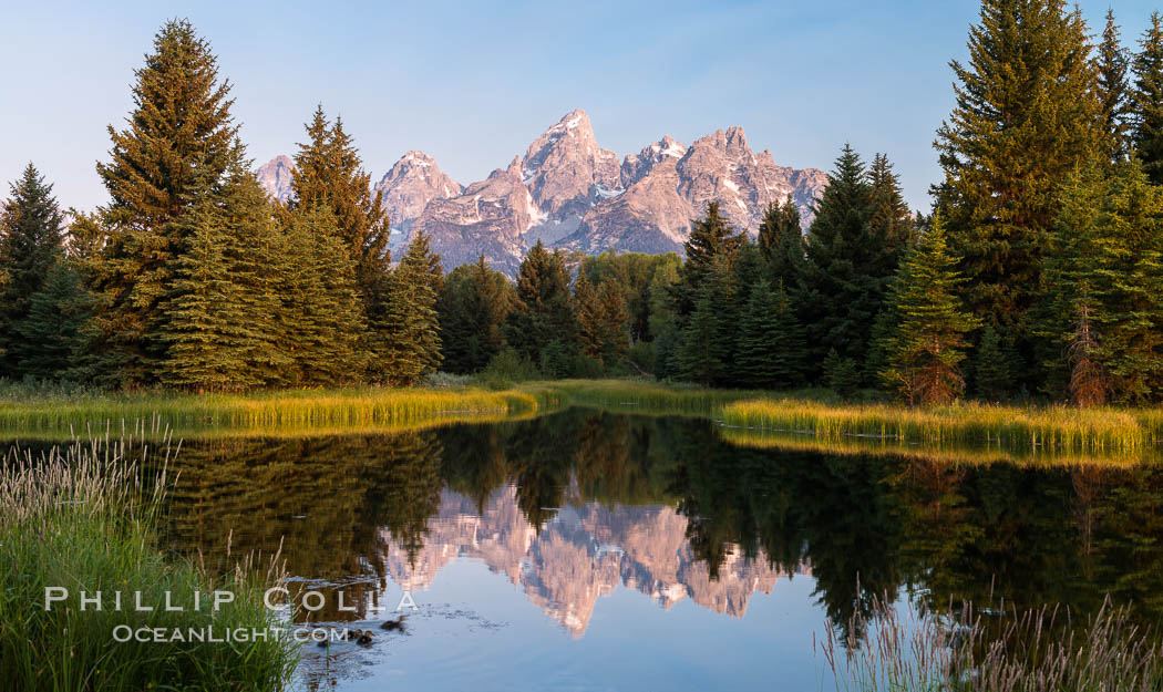 Teton Range from Schwabacher Landing, Grand Teton National Park., natural history stock photograph, photo id 32307