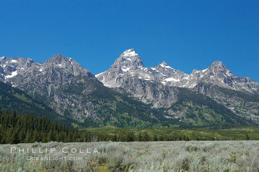 The Teton Range, summer. Grand Teton National Park, Wyoming, USA, natural history stock photograph, photo id 13014