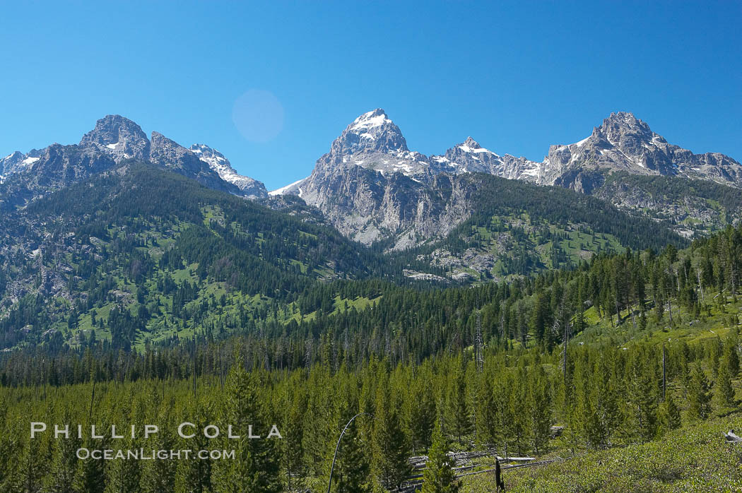 The Teton Range, summer. Grand Teton National Park, Wyoming, USA, natural history stock photograph, photo id 13015