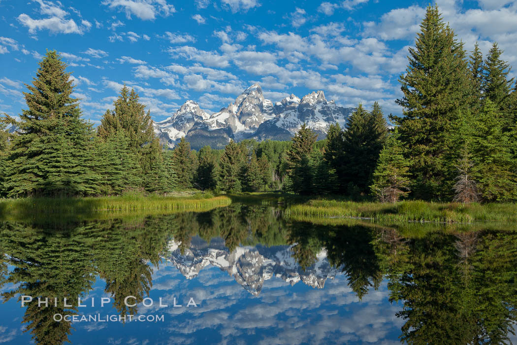 The Grand Tetons, reflected in the glassy waters of the Snake River at Schwabacher Landing, on a beautiful summer morning. Grand Teton National Park, Wyoming, USA, natural history stock photograph, photo id 26932