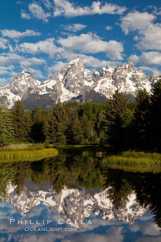 The Grand Tetons, reflected in the glassy waters of the Snake River at Schwabacher Landing, on a beautiful summer morning. Grand Teton National Park, Wyoming, USA, natural history stock photograph, photo id 26933