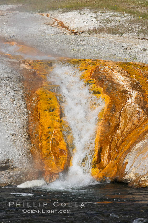 Thermophilac heat-loving bacteria color the runoff canals from Excelsior Geyser as it empties into the Firehole River. Midway Geyser Basin, Yellowstone National Park, Wyoming, USA, natural history stock photograph, photo id 13595