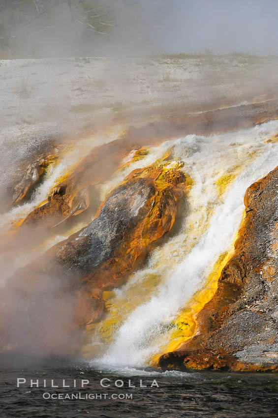 Thermophilac heat-loving bacteria color the runoff canals from Excelsior Geyser as it empties into the Firehole River. Midway Geyser Basin, Yellowstone National Park, Wyoming, USA, natural history stock photograph, photo id 13593