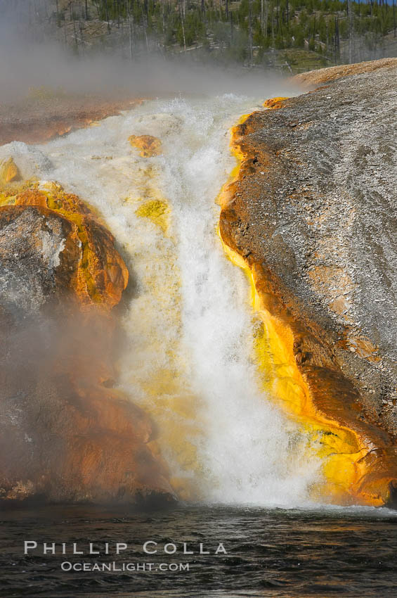 Thermophilac heat-loving bacteria color the runoff canals from Excelsior Geyser as it empties into the Firehole River. Midway Geyser Basin, Yellowstone National Park, Wyoming, USA, natural history stock photograph, photo id 13597