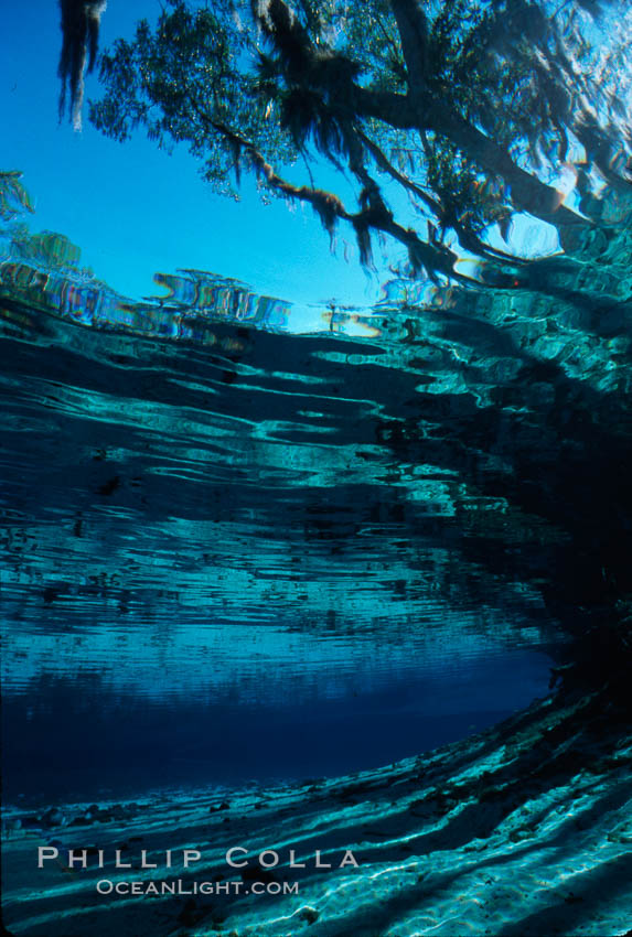 Three Sisters Springs. Crystal River, Florida, USA, natural history stock photograph, photo id 02674