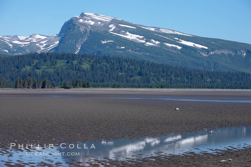 Tide flats exposed at low tide, with Chigmit Range in the background. Lake Clark National Park, Alaska, USA, natural history stock photograph, photo id 19060