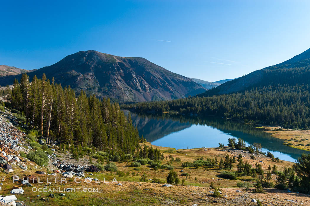 Tioga Lake viewed from Tioga Pass in the High Sierra.  The elevation of the lake is 9561.  California. Yosemite National Park, USA, natural history stock photograph, photo id 09972